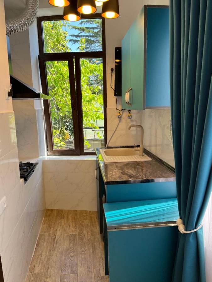 Guest House Mtani Near Colchis Fountain Koutaïssi Extérieur photo
